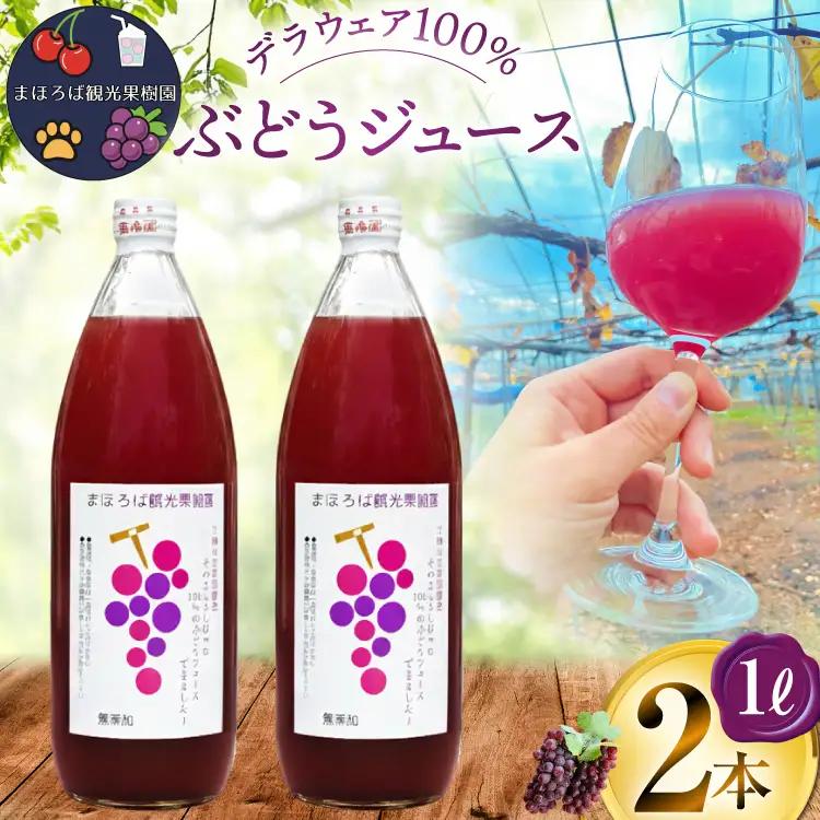 無添加 100% ぶどう ジュース 1L 2本 セット