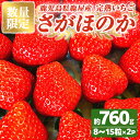 【ふるさと納税】【数量限定】【期間限定】鹿児島県産 いちご 「 さがほのか 」 合計760g（8～15粒×2P） ストロベリーハウス彩 より直送！ イチゴ 苺 国産 贈答 プレゼント 果物 フルーツ【2025年1月～3月発送】【Strawberry　House　彩】