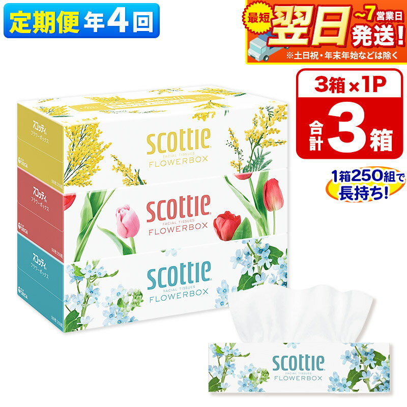 【ふるさと納税】《3ヶ月ごとに4回お届け》定期便 ティッシュペーパー スコッティ ティシュー フラワーボックス 250組 3箱パック×1パック 秋田市オリジナル 最短翌日発送