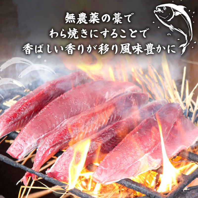 冷凍もちもち食感ビリかつお藁焼きたたき250g×4節【鰹 たたき かつおのたたたき わら焼き 藁焼き 魚 魚介 食品  人気 おすすめ 高知県 南国市】