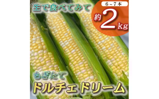 とうもろこし もぎたて ドルチェドリーム 約 2kg 6本~7本 トウモロコシ コーン 美味しい おいしい 茹でとうもろこし 焼きとうもろこし スープ 野菜 やさい バーベキュー BBQ 産地直送 新鮮 生鮮 食品 静岡県 牧之原市 タイラファーム