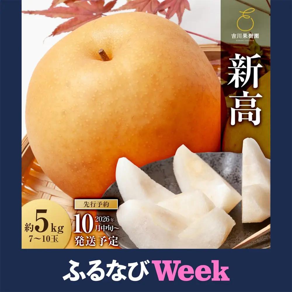 【ふるなびWEEK対象】【2026年分先行予約】 梨 新高　約５kg（7～10玉）10月中旬～順次発送【吉川果樹園】 ｜ 梨