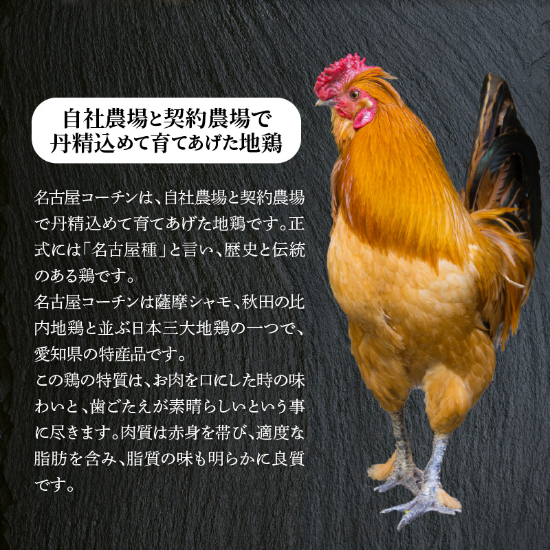 【12月21日受付分まで年内発送】【白だしを使った和風ご当地餃子】 白だしの元祖 七福醸造の白だし使用 名古屋コーチン鶏餃子 36個入り 日時指定可 肉汁たっぷり 鶏餃子 冷凍 ぎょうざ ギョーザ 七