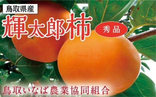 
                  輝太郎柿 3キロ【鳥取いなば農業協同組合】
                