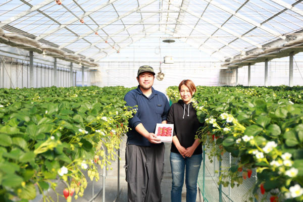 川島町のいちご生産農家「ストロベリーハント」のいちごを使用しています。