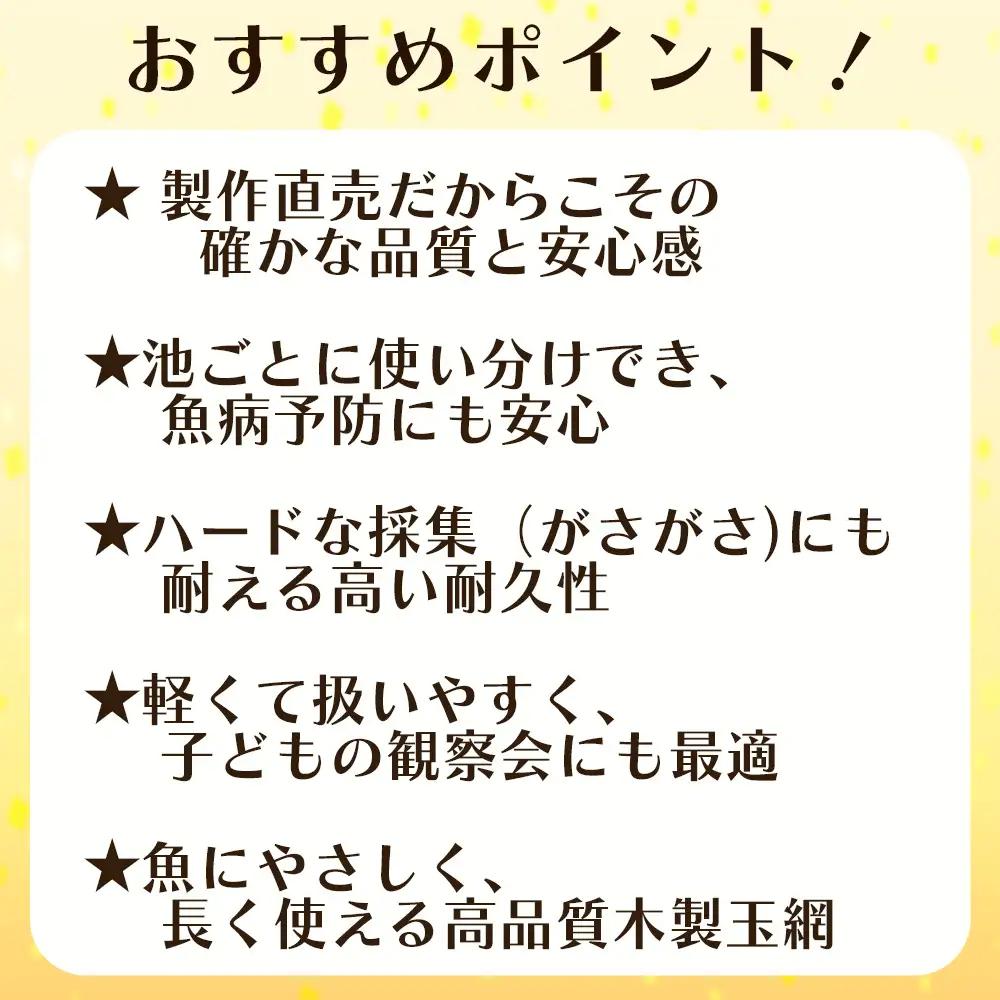 【網深め】養魚用ステンレス二重枠三角玉網（BL－39－3L）首補強有 No.547