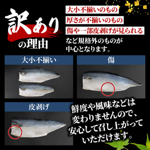 訳あり さば 塩鯖 約5kg サバ 