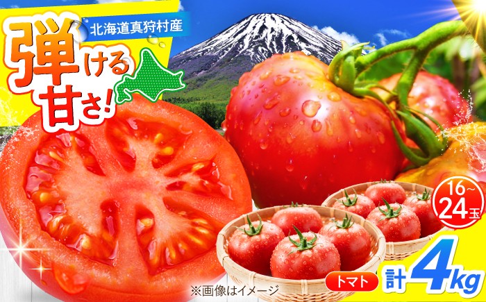 
                  トマト 4kg | トマト とまと tomato やさい 野菜 北海道 北海道産 産地直送 産直 新鮮 サラダ お弁当 おかず 旬 季節 おすすめ 家庭用 やさい 先行予約 | 道の駅 真狩フラワーセンター [BPAM078]
                