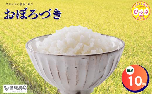 【令和8年産 新米先行受付】 おぼろづき 精米 10kg【菅原農産】米 お米 北海道米 国産 白米 コメ 北海道 比布町 ぴっぷ 1007-004
