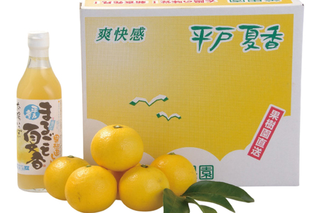 果物 オレンジ 平戸 夏香 ＆ ジュース セット [善果園 長崎県 平戸市 hr42bgy420206]