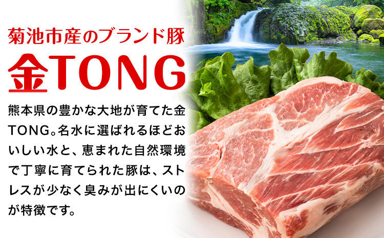 アイスバイン 骨付き 豚すね肉 燻製 2本 有限会社ハム工房TONGTONG《90日以内に出荷予定(土日祝除く)》熊本県 菊池市 骨付き くんせい 塊 燻製 骨付き肉 豚肉 すね肉 冷凍---005-