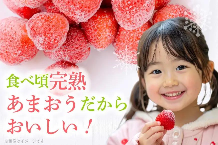 いちご 冷凍 完熟 あまおう 2kg いちご【2027年発送先行受付】