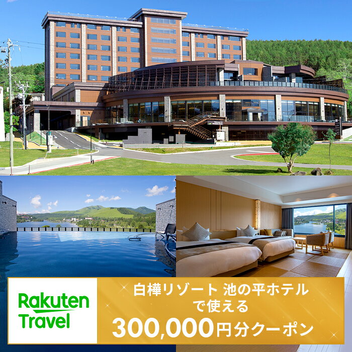【ふるさと納税】白樺リゾート 池の平ホテルで使える楽天トラベルクーポン　寄付額1,000,000円 | 旅行 トラベル クーポン 旅行券 宿泊 観光 国内旅行 白樺リゾート 池の平ホテル 信州 長野県 立科町 蓼科