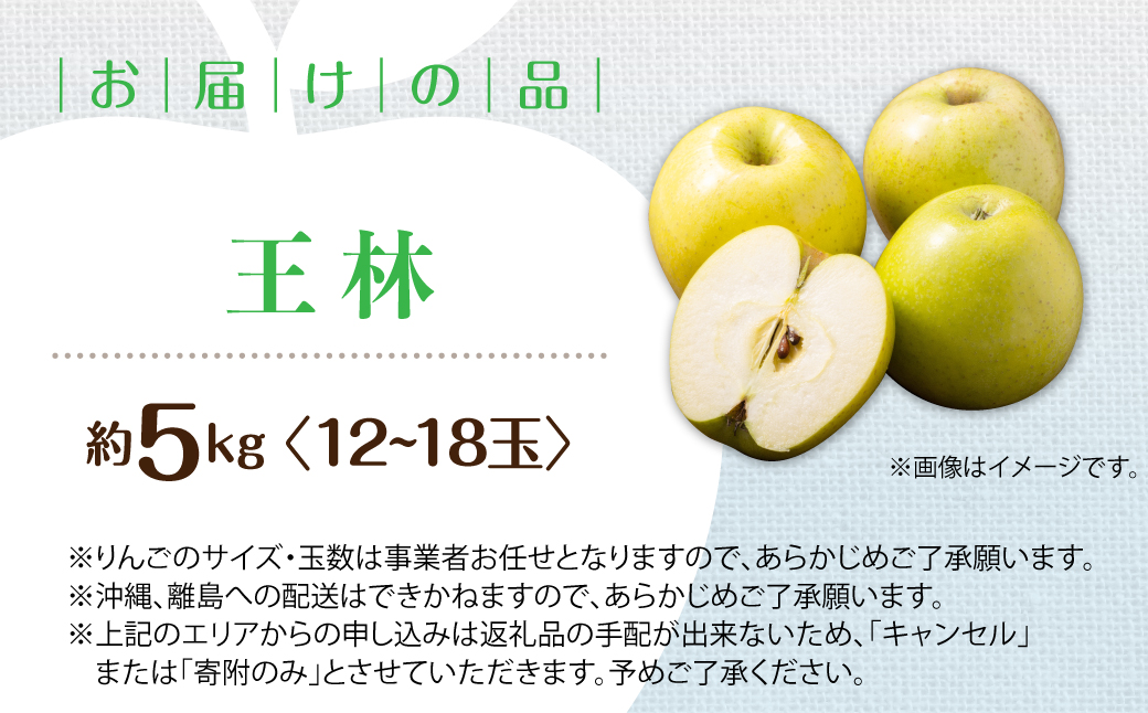 【先行予約】＜2026年11月中旬よりお届け＞北海道壮瞥町　りんご　品種名「王林」12～18玉約5kg SBTF025
