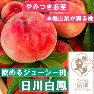 【果汁溢れる日川白鳳ブランド】人気品種指定約1kg（３玉）【2024年発送】（PMK）B17-109