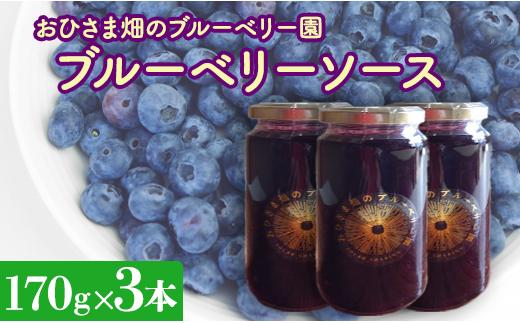 【おひさま畑のブルーベリー園】ブルーベリーソース（170g）3本