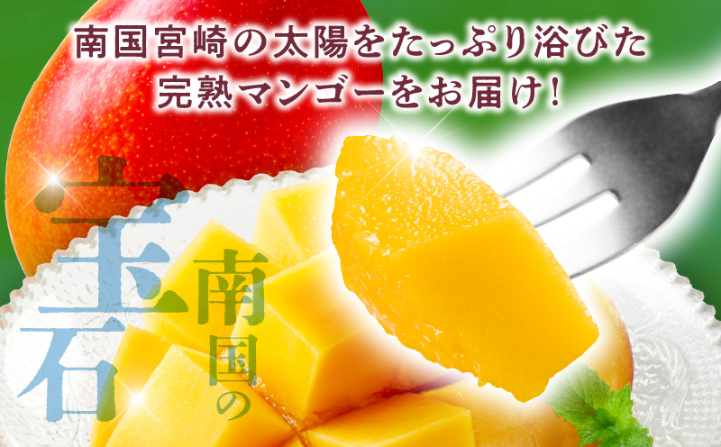 宮崎県産 完熟マンゴー 2玉 3L