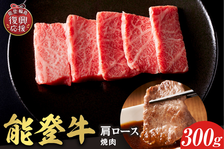 【和牛セレブ】能登牛 牛肩ロース 焼肉 300g wa111-023