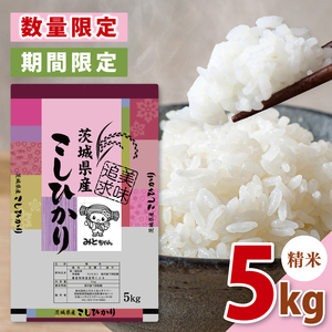 【数量限定】【令和7年】美味追求 茨城県産こしひかり 5キロ 精米 (NA-1)