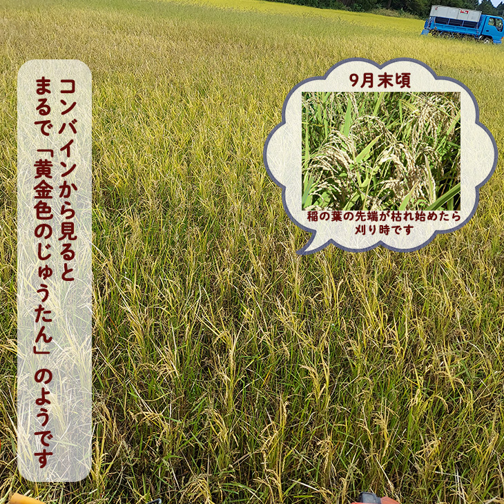 ＜令和8年産予約受付＞銀河のしずく厳選プレミアム 玄米2kg 【2231】_イメージ5