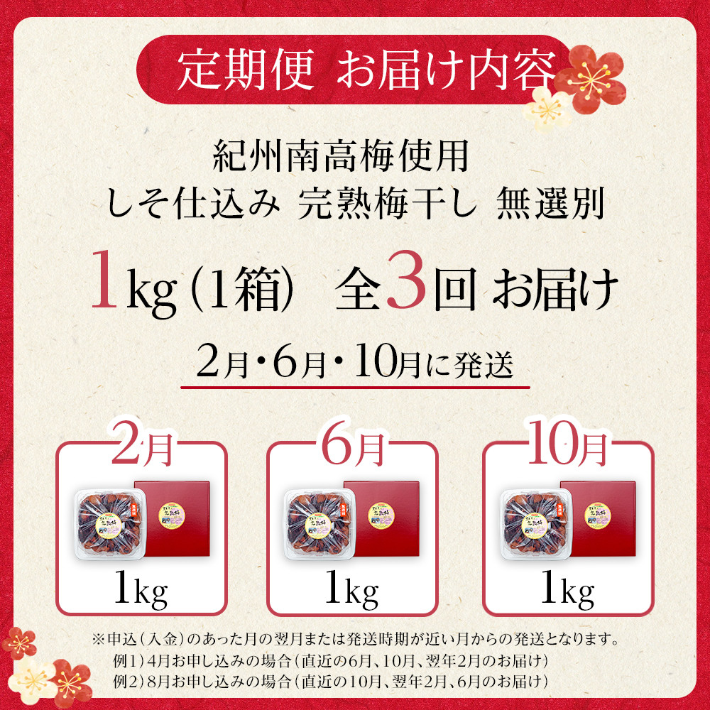 【定期便（2月・6月・10月）全3回お届け】 紀州南高梅使用 しそ仕込み完熟梅干し 無選別1kg ［TM214］ XH92267_イメージ5