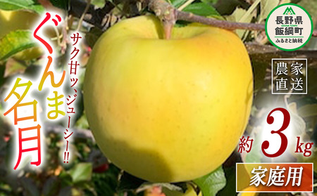 りんご ぐんま名月 家庭用 3kg ファームトヤ 沖縄県への配送不可 2025年11月中旬頃から2025年12月下旬頃まで順次発送予定 令和7年度収穫分 信州 果物 フルーツ リンゴ 林檎 名月 長野 予約 農家直送 長野県 飯綱町 [1423]