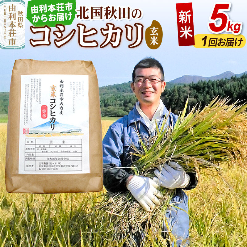 《令和8年産 新米受付》【玄米】コシヒカリ 5kg 秋田県産 五平農園のコシヒカリ [コシヒカリ 新米受付 米 お米 こめ 玄米 ブランド米 ご飯 ごはん おにぎり食卓 秋田県産]