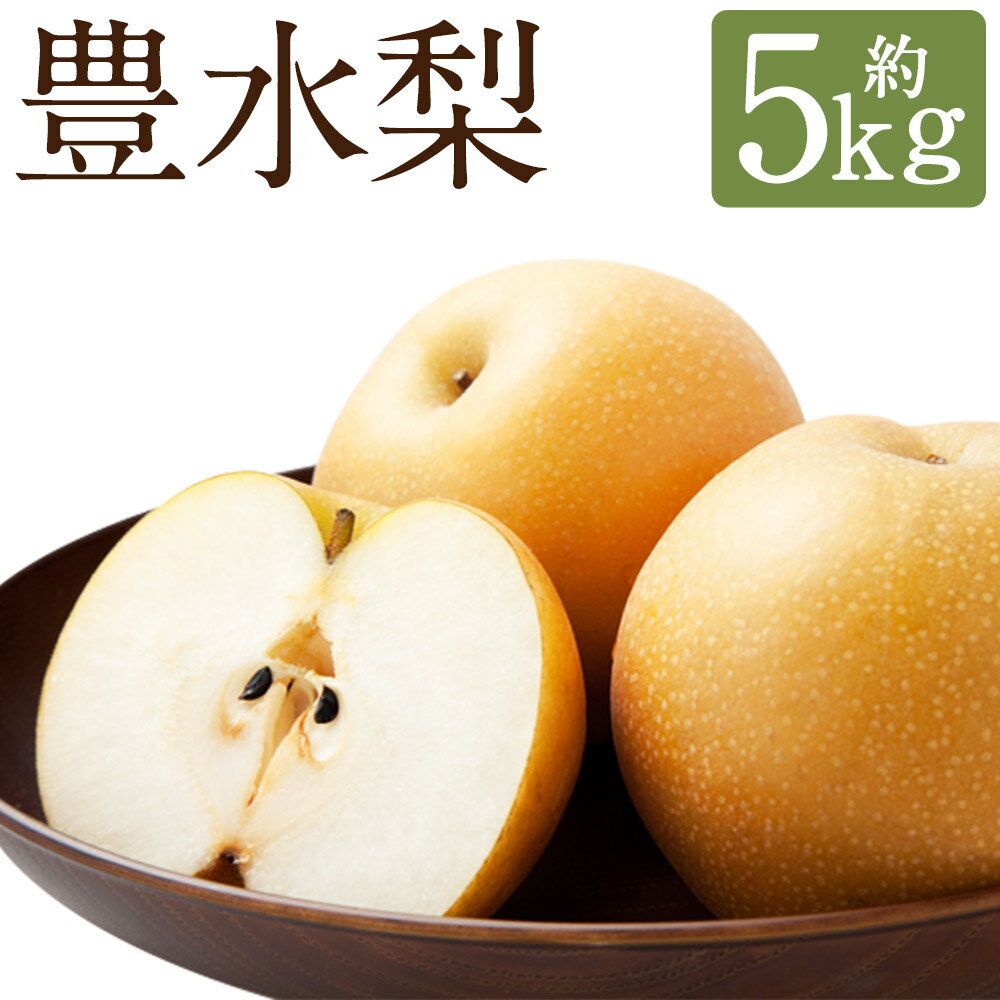 【ふるさと納税】豊水梨 約5kg 7～10玉 梨 なし 和梨 果物 フルーツ 長崎市産 長崎県産 九州産 送料無料 【2025年8月下旬～9月上旬に順次発送予定】