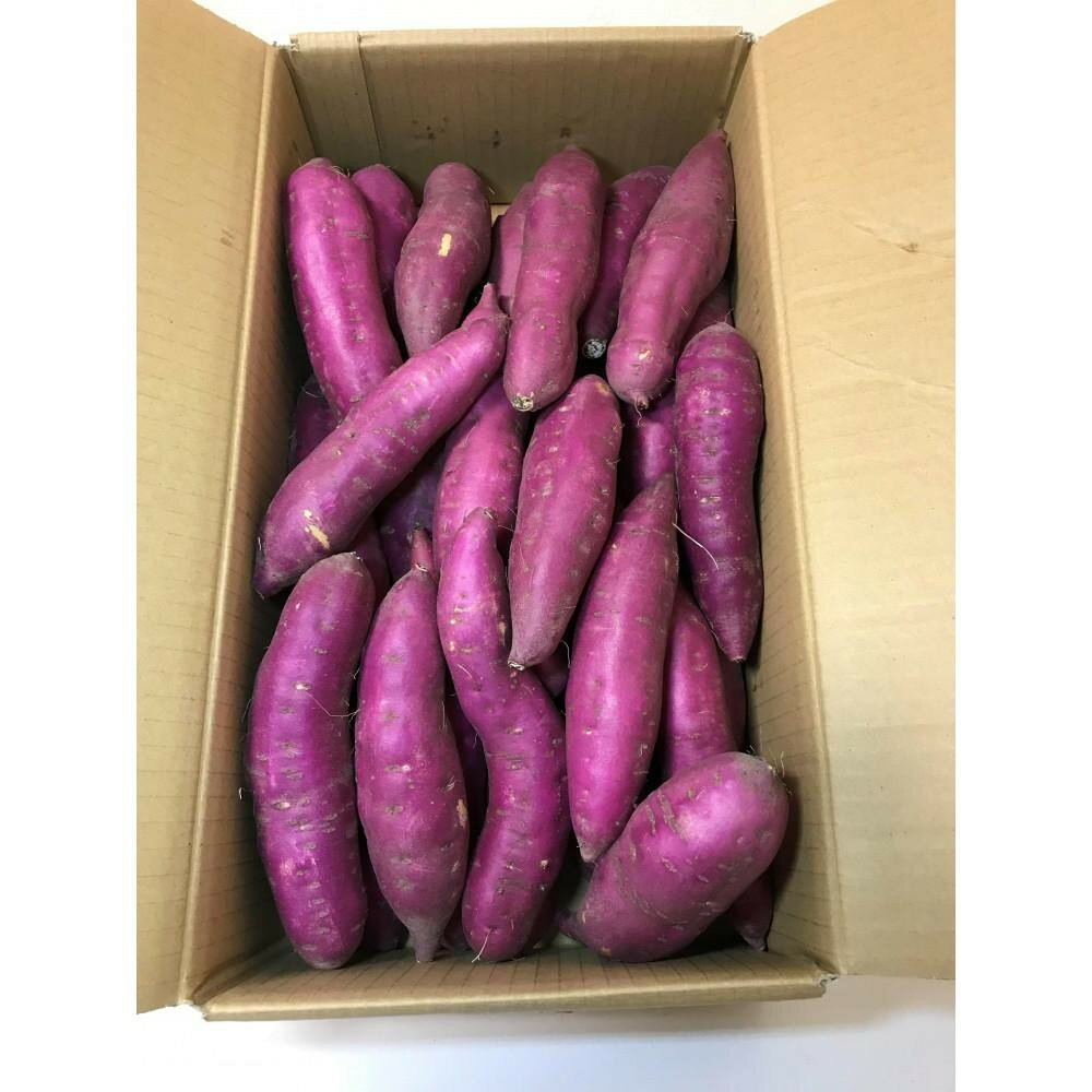 【ふるさと納税】【選べるサイズ】和歌山県産 水軒金時 さつまいも M～2Lサイズ 約5kg 2026年発送 先行予約 | サツマイモ 野菜 やさい 食品 人気 おすすめ 送料無料