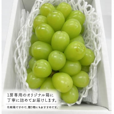 【きよとうファーム】【数量限定】大粒シャインマスカット厳選品1房 /700g以上(岡山県産)【配送不可地域：離島・北海道・沖縄県】