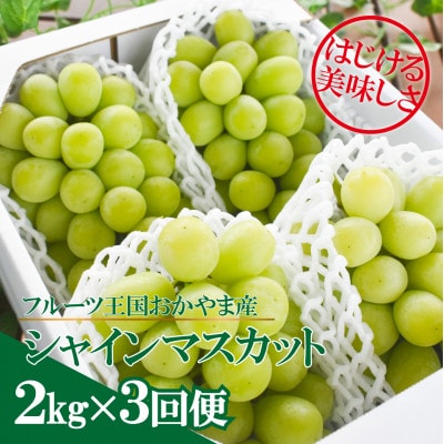【発送月固定定期便】【きよとうファーム】シャインマスカットを楽しむ満足便!/全便計6.0kg～全3回【配送不可地域：離島】