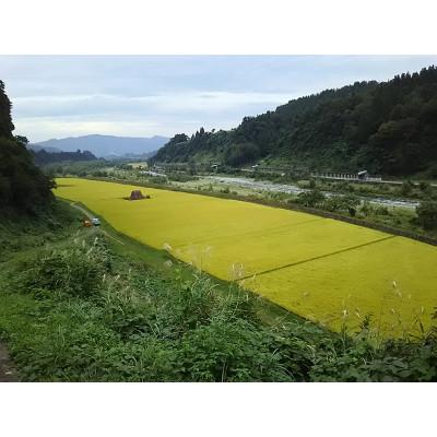 ふるさと納税 十日町市 令和6年産　農家直送!魚沼産こしひかり　特別栽培米「白羽毛の米」精米5kg×2袋 |  | 02