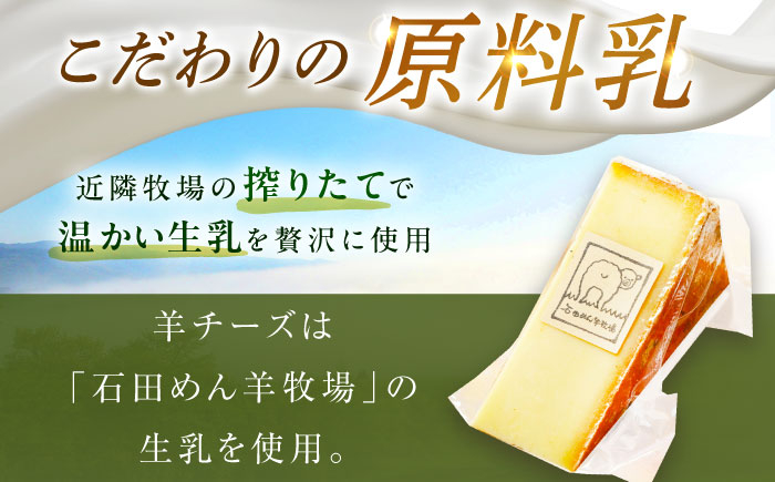 チーズ ハードチーズ 羊乳 ミルク おつまみ 貴重 期間限定 ギフト 北海道