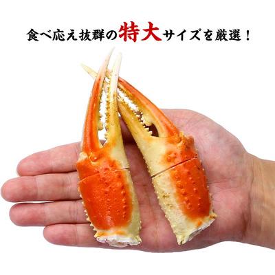 ふるさと納税 敦賀市 12/24まで年末配送 切れ目入り ボイルずわいがに 爪 3kg(解凍後2.1kg/30〜75個入) |  | 01