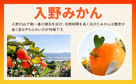 ご家庭用 温州みかん 約5kg みかん