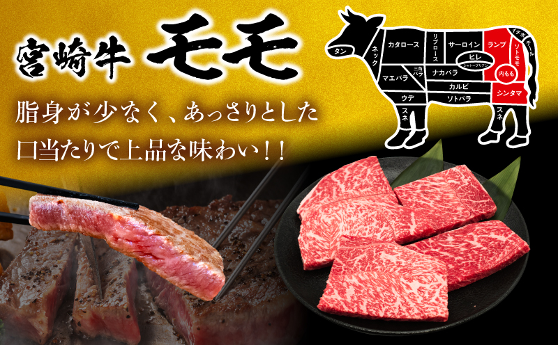 【6月末までにお届け】【畜産農家応援】＼赤身でヘルシー!!／厳選 宮崎牛 赤身 ステーキ 計1kg 粗挽きウインナー 牛肉 国産 鉄板焼き BBQ バーベキュー 人気 黒毛和牛 モモ A4 A5 等級