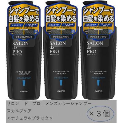 ふるさと納税 稲沢市 ダリヤ　サロン ド プロ　メンズカラーシャンプー　スカルプケア《ナチュラルブラック》3個セット