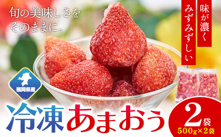
                  【2026年度出荷】福岡県産 冷凍あまおう1kg(500g×2袋) 南国フルーツ株式会社《12月中旬-3月末頃出荷》福岡県 鞍手町 あまおう いちご イチゴ 送料無料【配送不可地域あり】
                