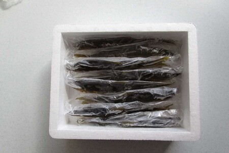【先行予約】八戸川　天然鮎（１kg)＜2025年6月10日よりお届け＞【192_2000】