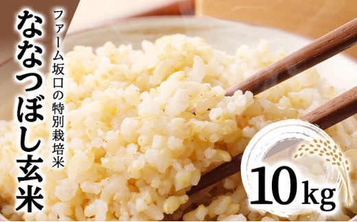 令和8年産！ファーム坂口の特別栽培米 ななつぼし玄米 10kg (10kg×1袋) 10kg (10kg×1袋)