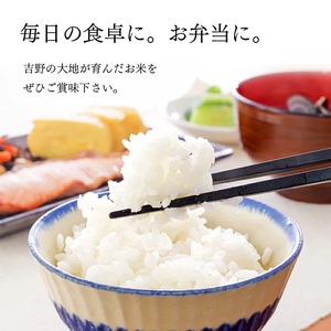 大和銘米ひのひかり5kg《大西米穀店》