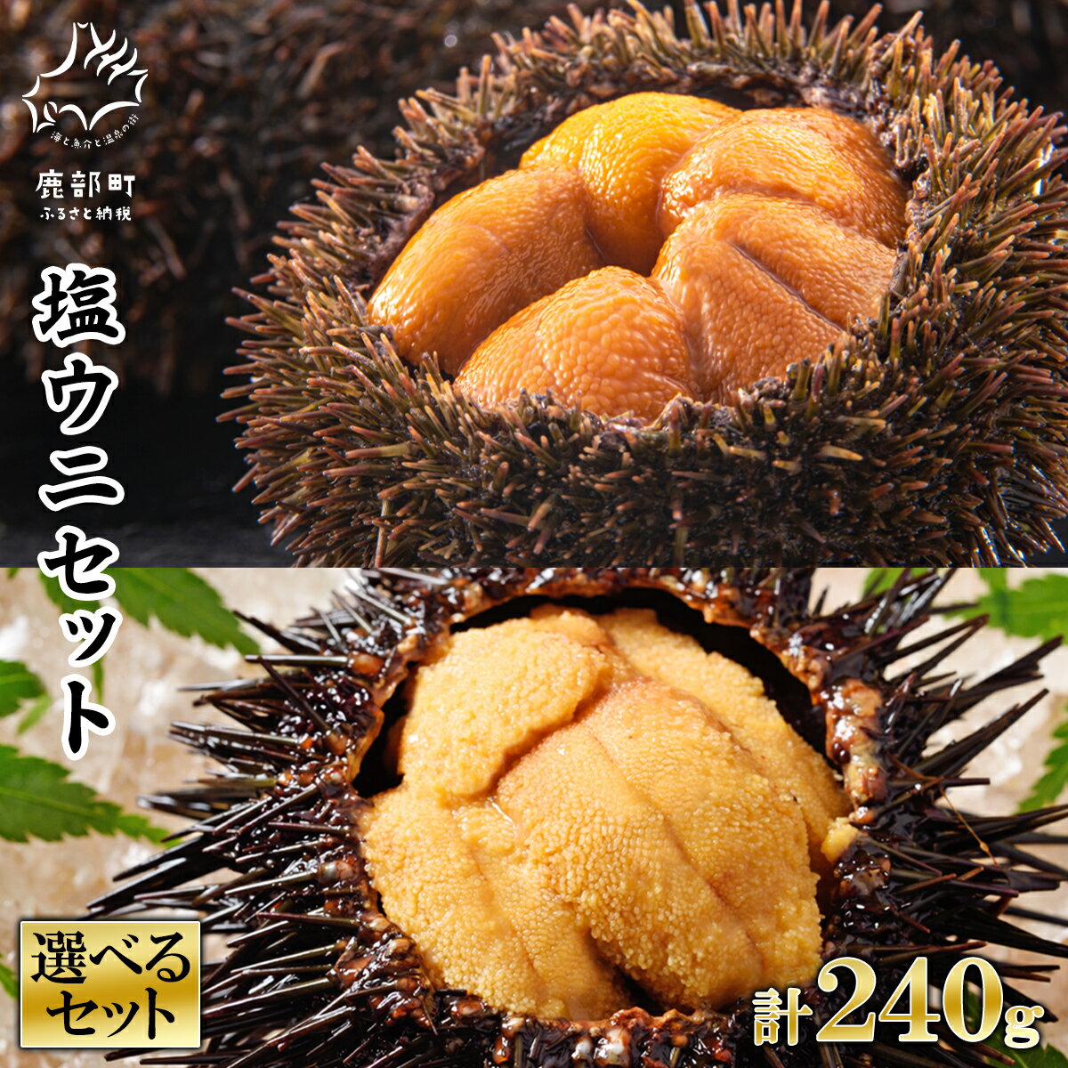 【ふるさと納税】【選べるセット内容】ウニ 塩ウニセット 計 240g 北海道産 ムラサキウニ バフンウニ 塩ウニ 塩蔵うに ミョウバン不使用 ごはんのお供 うに丼 海鮮丼 パスタ おにぎり 珍味 魚介 冷凍 化粧箱 ギフト 贈答用 お中元 お歳暮 セット 送料無料