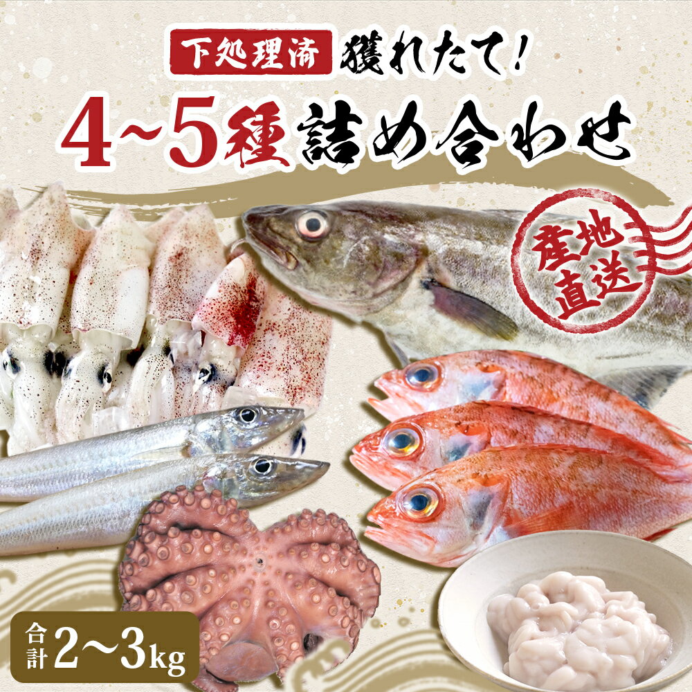 【ふるさと納税】鮮魚 詰め合わせ 2〜3kg（4〜5種）下処理済み 漁師直送! 宮城県産 鮮魚 内臓処理済 お楽しみ 鮮魚ボックス 詰合せ 魚 食べ比べ お魚 とれたて 美味しい 新鮮 海鮮 魚介 刺身 焼き魚 煮付け フライ レシピ付 ギフト 簡単調理 宮城県 石巻市 山神丸 送料無料