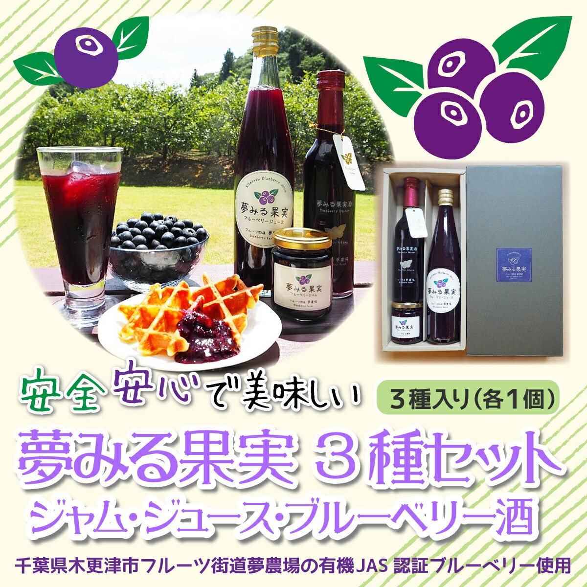 【ふるさと納税】＜有機栽培ブルーベリー使用＞夢みる果実ブルーベリー　加工品3種セット ふるさと納税 ブルーベリー 千葉県 木更津市 送料無料 KAA004