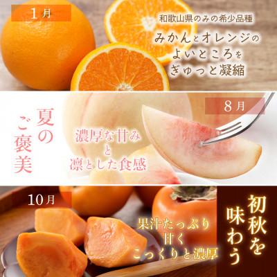 ふるさと納税 日高町 【発送月固定定期便】フルーツ定期便　品質に自信あり!道の駅よりこだわり農家厳選品!全3回 |  | 02