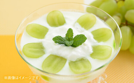 【先行予約】　シャインマスカット 1房（約500?600g）　【中島農園】[AYCX002]