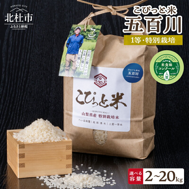 【ふるさと納税】 米 精米 【令和6年度米】 選べる容量 20kg 4kg 2kg 五百川 新米 北杜市産 こぴっと米 特別栽培米 1等米 100％ 早生品種 山梨県北杜市 送料無料
