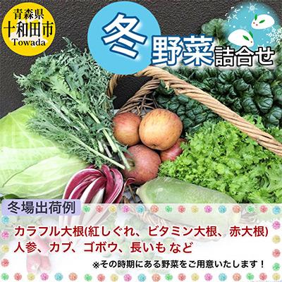 ふるさと納税 十和田市 《レビュー高評価商品》【青森県産】季節に出会える「旬」の野菜セット10〜15品 |  | 02