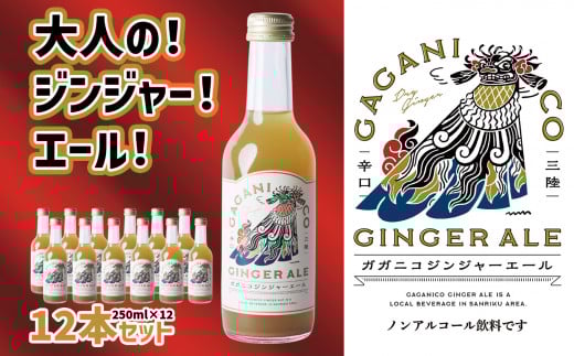 【 炭酸飲料 】 ガガニコ ジンジャーエール 12本セット ( 250ml × 12本 ) 【 飲み物 ノンアルコール 北限のゆず しょうが プレゼント 】