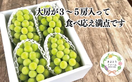 【2026年先行予約】シャインマスカット 上級品 大3-5房/計2.4kg~ (岡山県産)【KF-B072-02】
